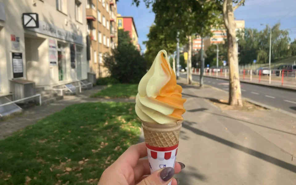 ilustrační foto