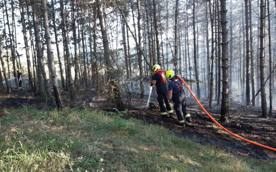 V pražském Radotíně hořelo zhruba devět hektarů lesa, hašení komplikovaly nedostupná ohniska požáru i sucho