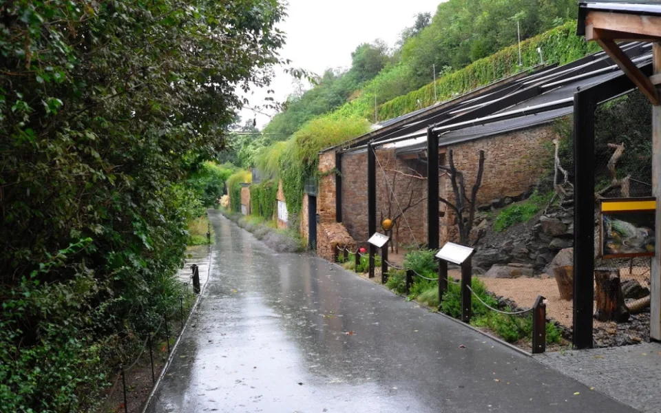 Zoo i botanická zahrada zůstávají kvůli nebezpečí zavřené