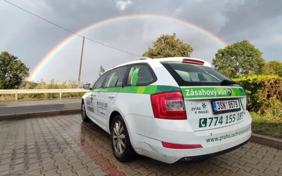 Zvířecí záchranka je nadějí pro divoká zvířata lapená městem. Nyní vybírá peníze na nové auto