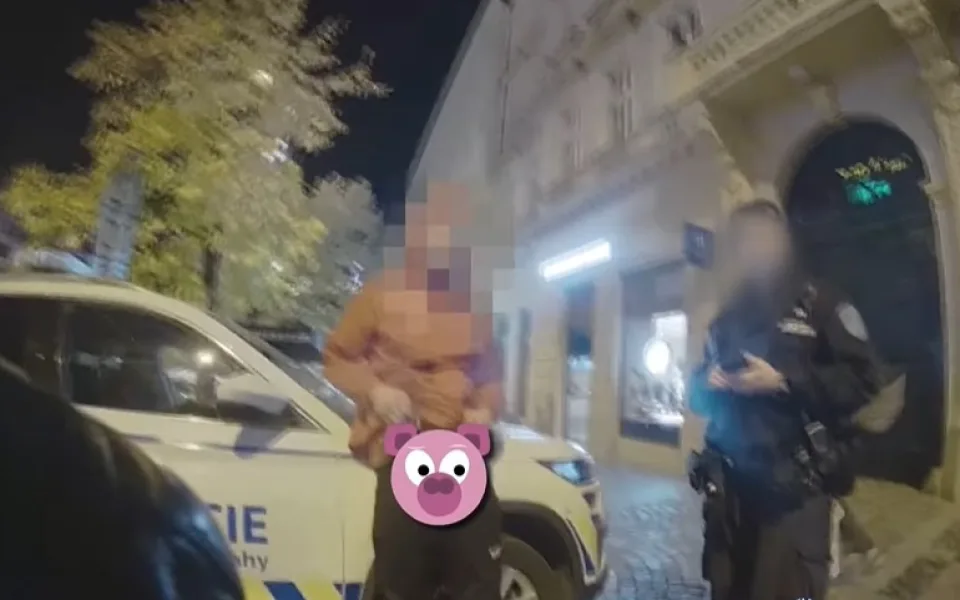 VIDEO: Se slovy 'to je můj živý tvor' předvedl strážníkům své genitálie. Skončil v poutech a na záchytce
