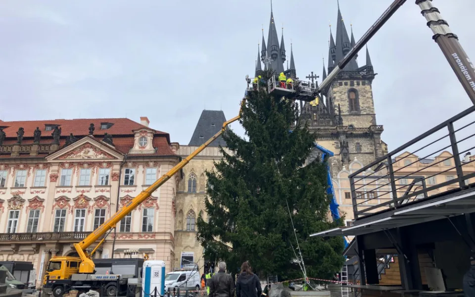 Technici v noci ukotvili vánoční strom na Staroměstském náměstí a začali se zdobením
