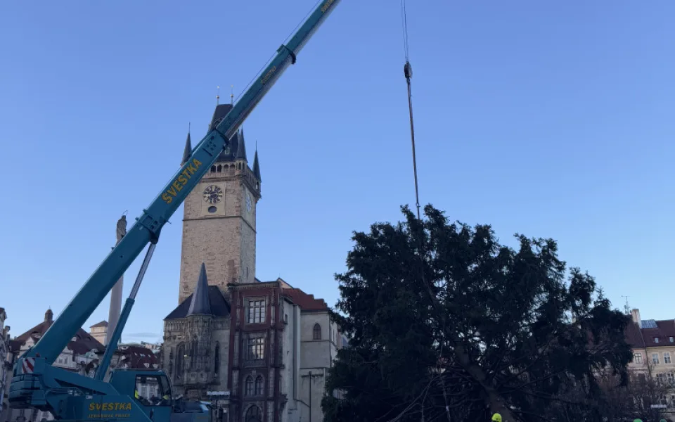 Vánoční strom už zmizel ze Staromáku, učni z něj vyrobí nábytek pro dětské centrum