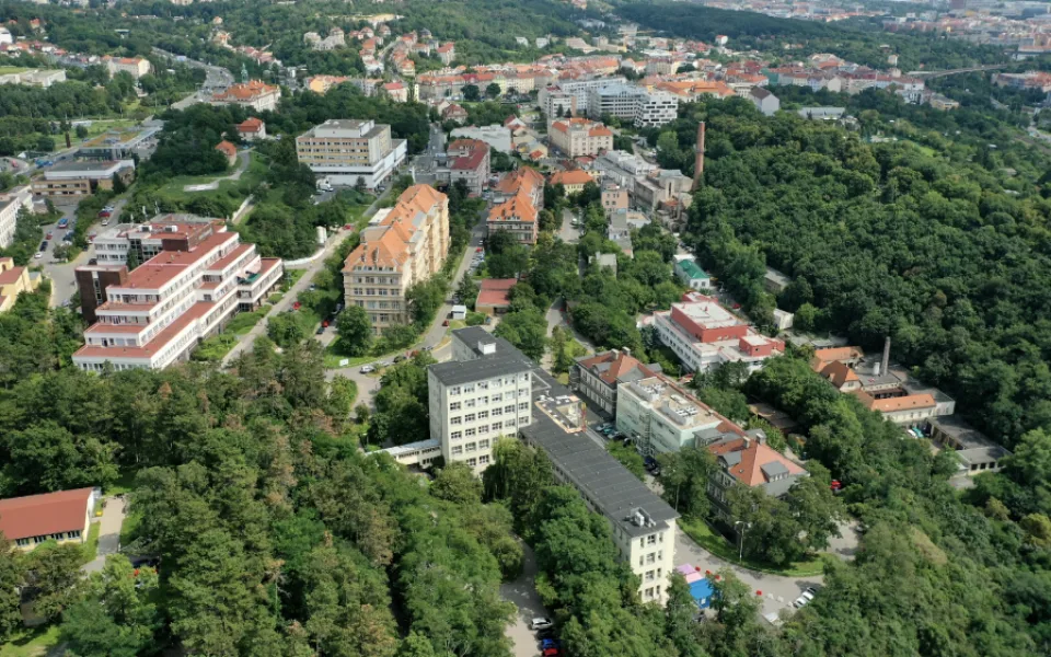Ilustrační foto