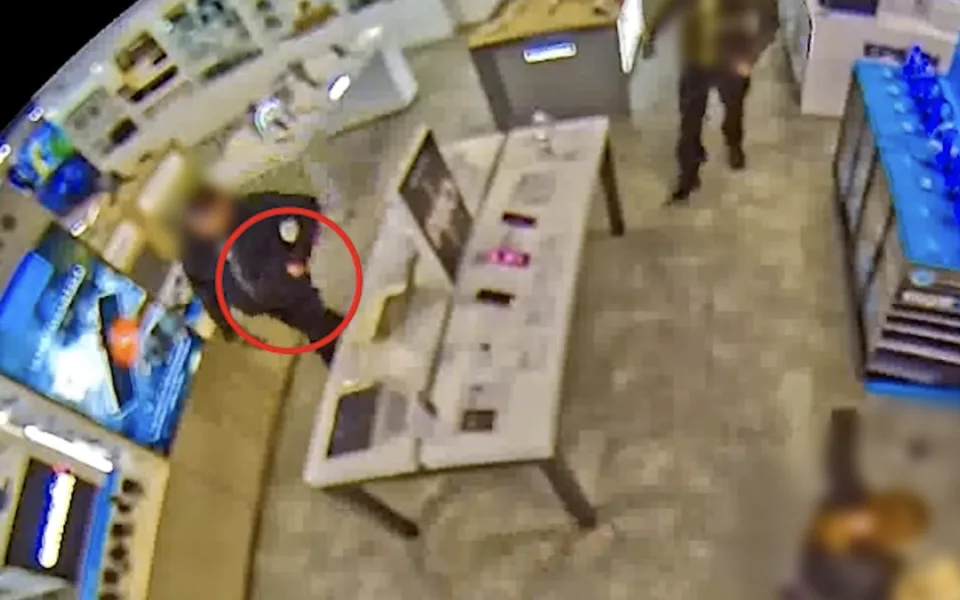 Hledá se chameleon. Policisté pátrají po zloději s přezdívkou exotického zvířete.