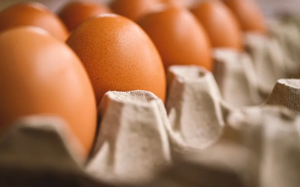 Cena vajec v Česku meziročně vzrostla nejvíce z celé EU