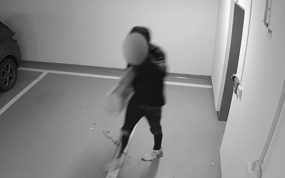 Policisté chytili muže, který v Praze 8 a 9 vykrádal co mohl. Přivlastnil si vzácný obraz i 17 kilo hovězího masa