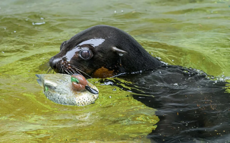 Zoo Praha