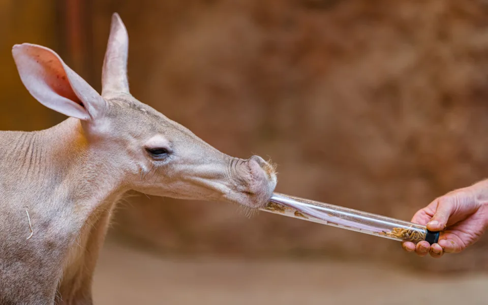 Zoo Praha