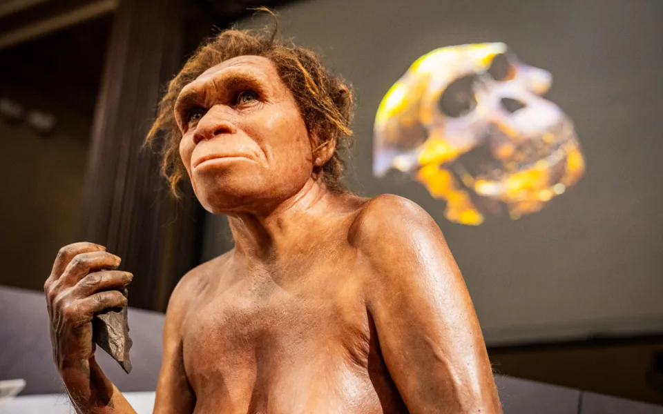 Národní muzeum jako první v Evropě vystavilo 3 miliony let staré fosilie člověka