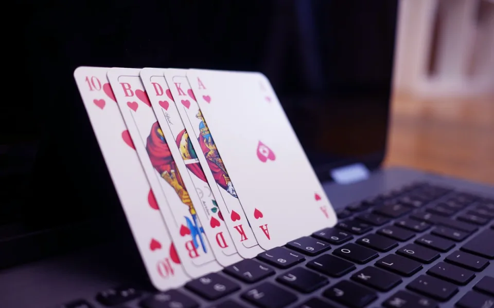 Proč si nováčci volí platformu Stawki Bet