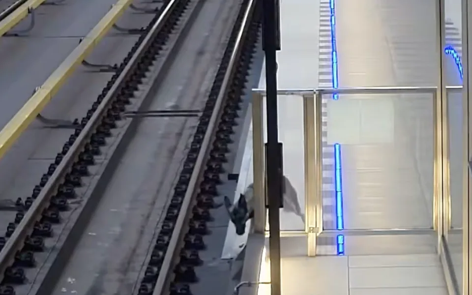 VIDEO: Na půlce metra linky A je zastaven provoz, do tunelu vběhl pes