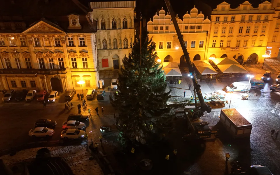 VIDEO: Vánoční strom už po malých problémech zdobí na Staromáku, rozsvítí ho v sobotu