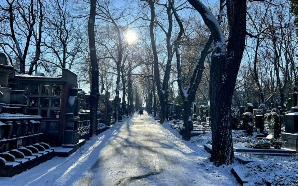 Ilustrační foto