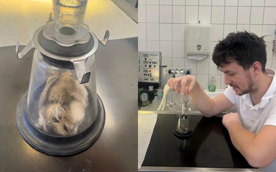 Křečíkovi museli amputovat nožku.