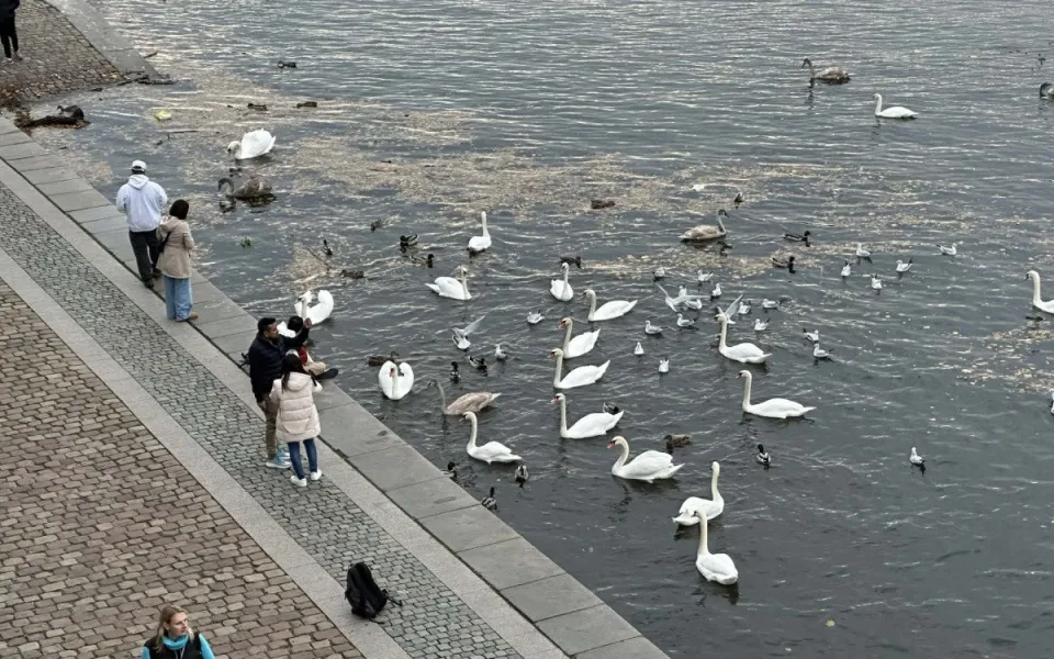 ilustrační foto