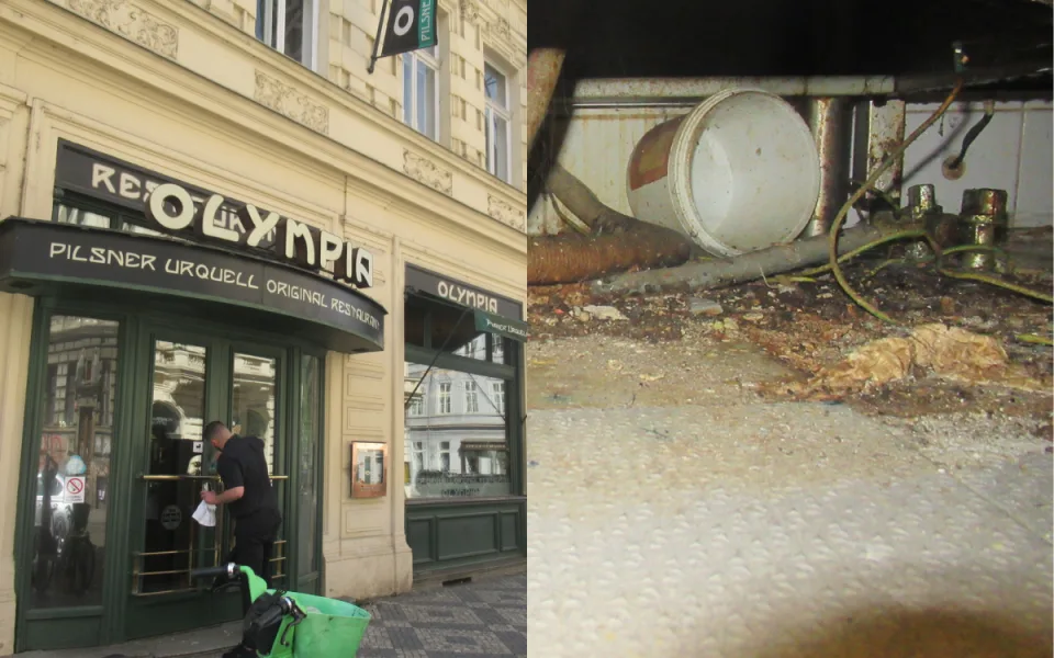 Myší bobky, plíseň, špína. Kuchyň Kolkovny na Malé Straně na místě zavřeli