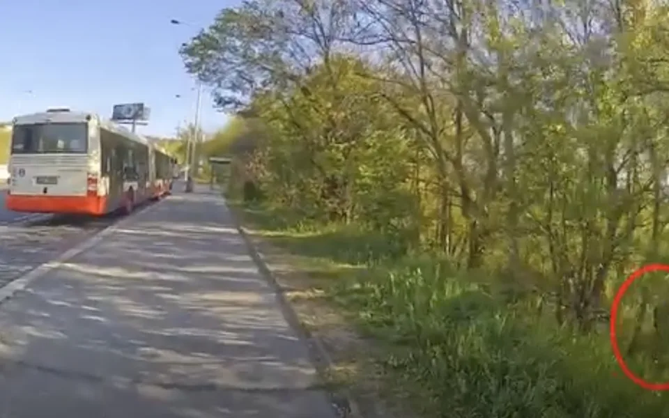 VIDEO: Muž se uspokojoval ve křoví u pražské zastávky, čekal na kolemjdoucí ženy