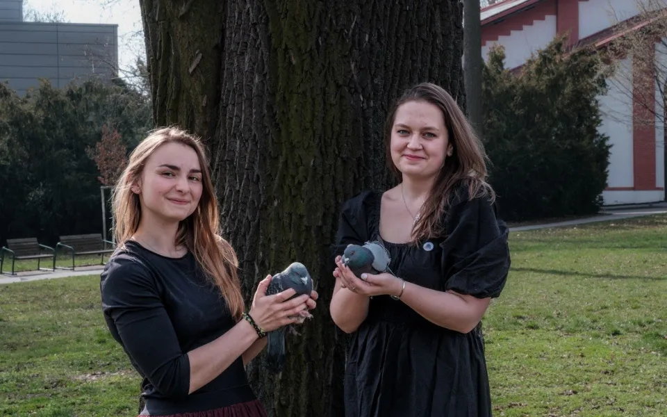 Lidé je vyšlechtili, pak hned opustili. Regulace je potřeba, míní holubí záchranářky