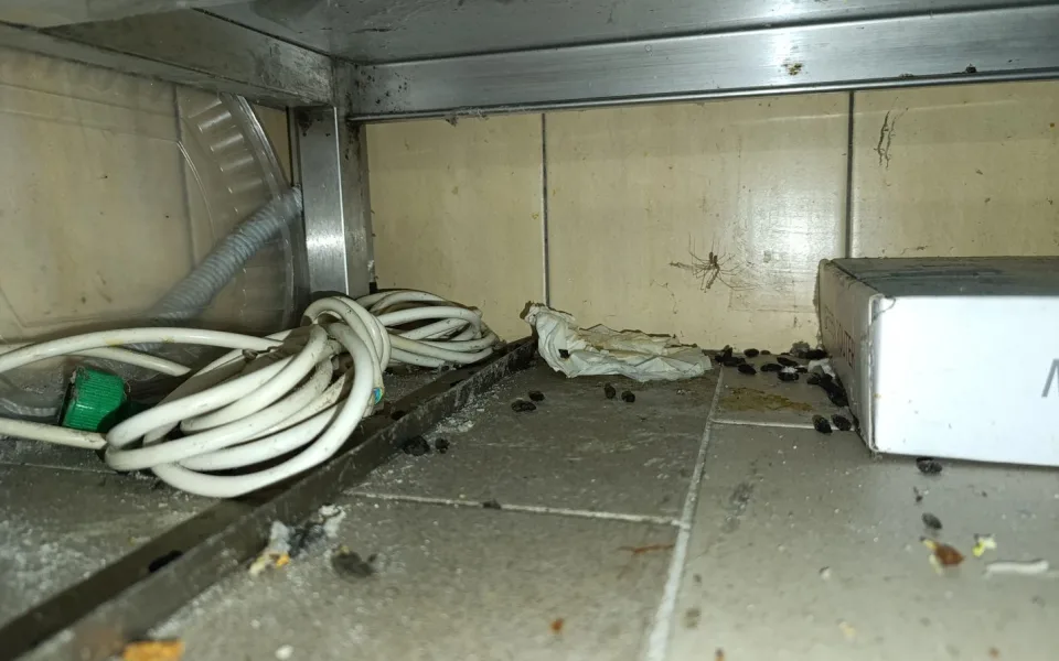 Myší trus i kouření v kuchyni. Bistro v Řepích museli zavřít inspektoři