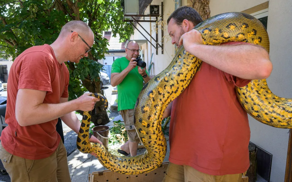 Zoo Praha