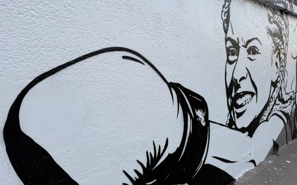 Zesnulou influencerku Mínu připomíná ve Vysočanech nový mural