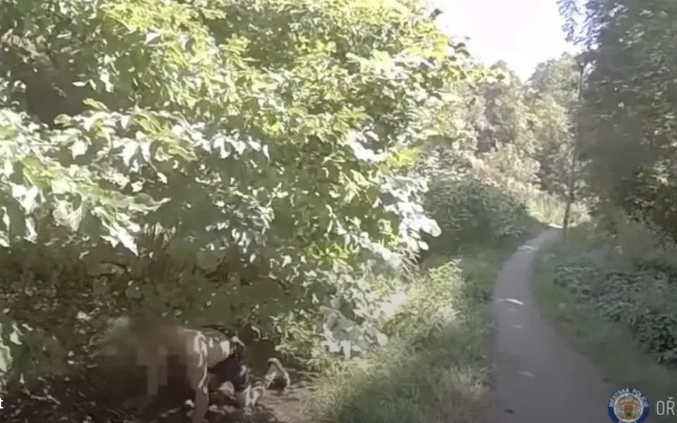 Muž hasil žízeň vodou z potoka.